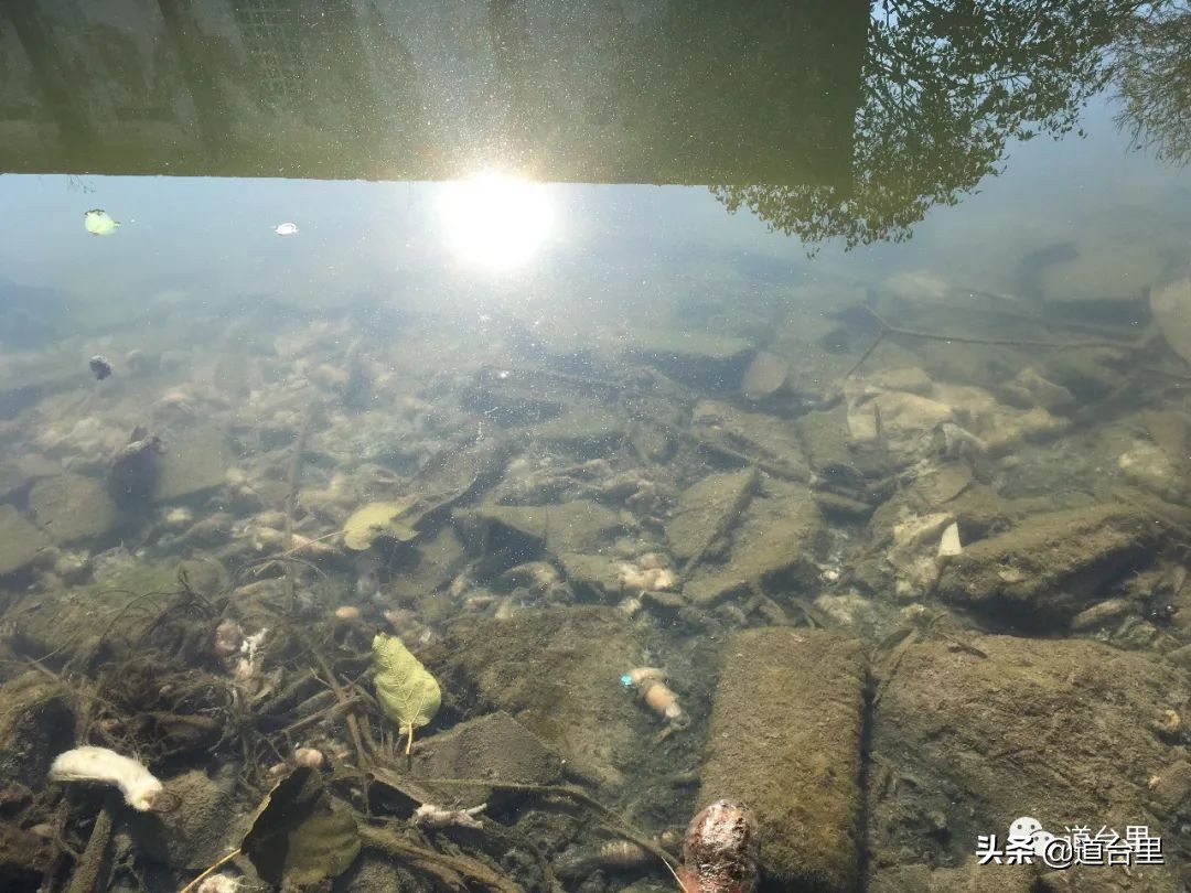 洪家楼老照片,洪家楼旧照