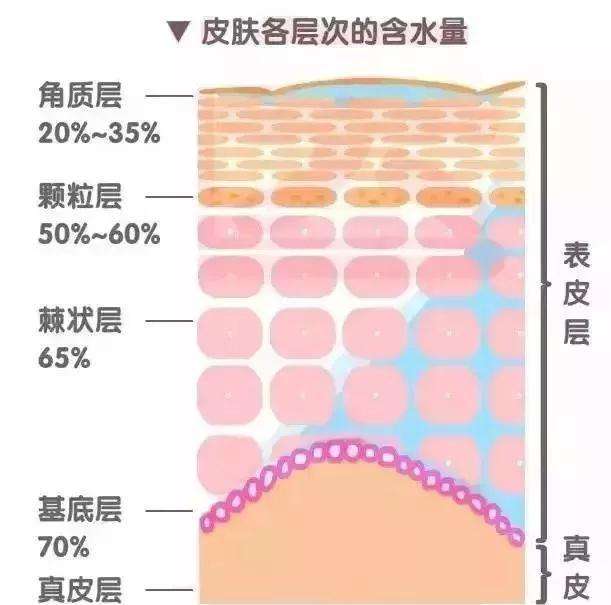 护肤品配方工程师培训,护肤品配方师教学视频