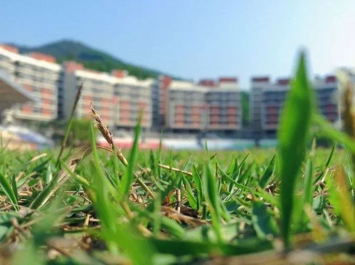 “在红岭中学就读是一种怎样的体验?”