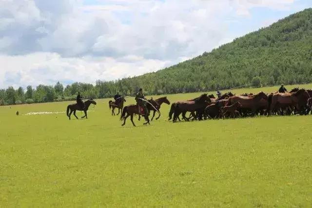 见证40年巨变,见证千年文化沧桑巨变