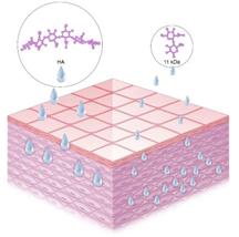 科颜氏抗初老精华露元气弹,科颜氏小白瓶跟元气弹