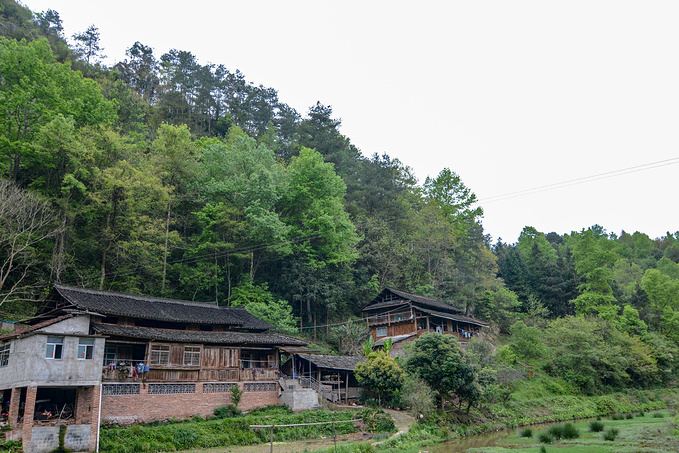 疫情对湖南这里居然丝毫没有影响！0病发，还超级适合徒步旅行！