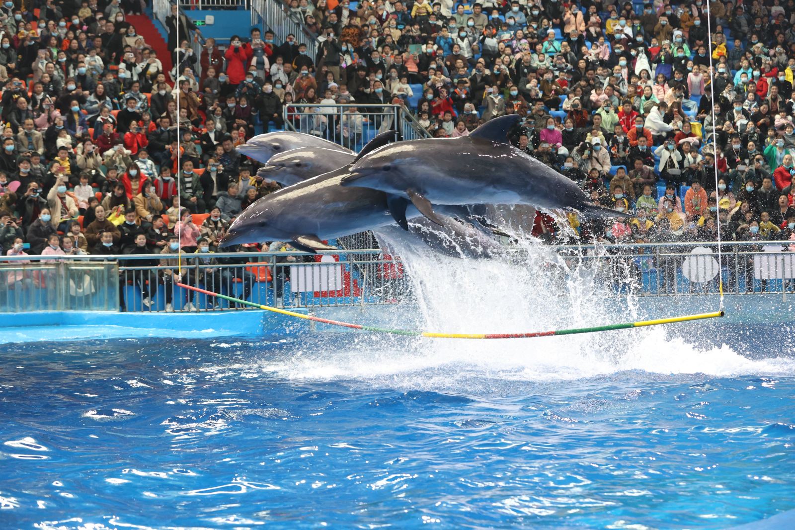 贵阳市多彩贵州城景点推荐,贵州的旅游景点多彩贵州城