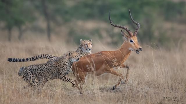 尼康d850完全摄影指南,尼康d850大变焦镜头推荐