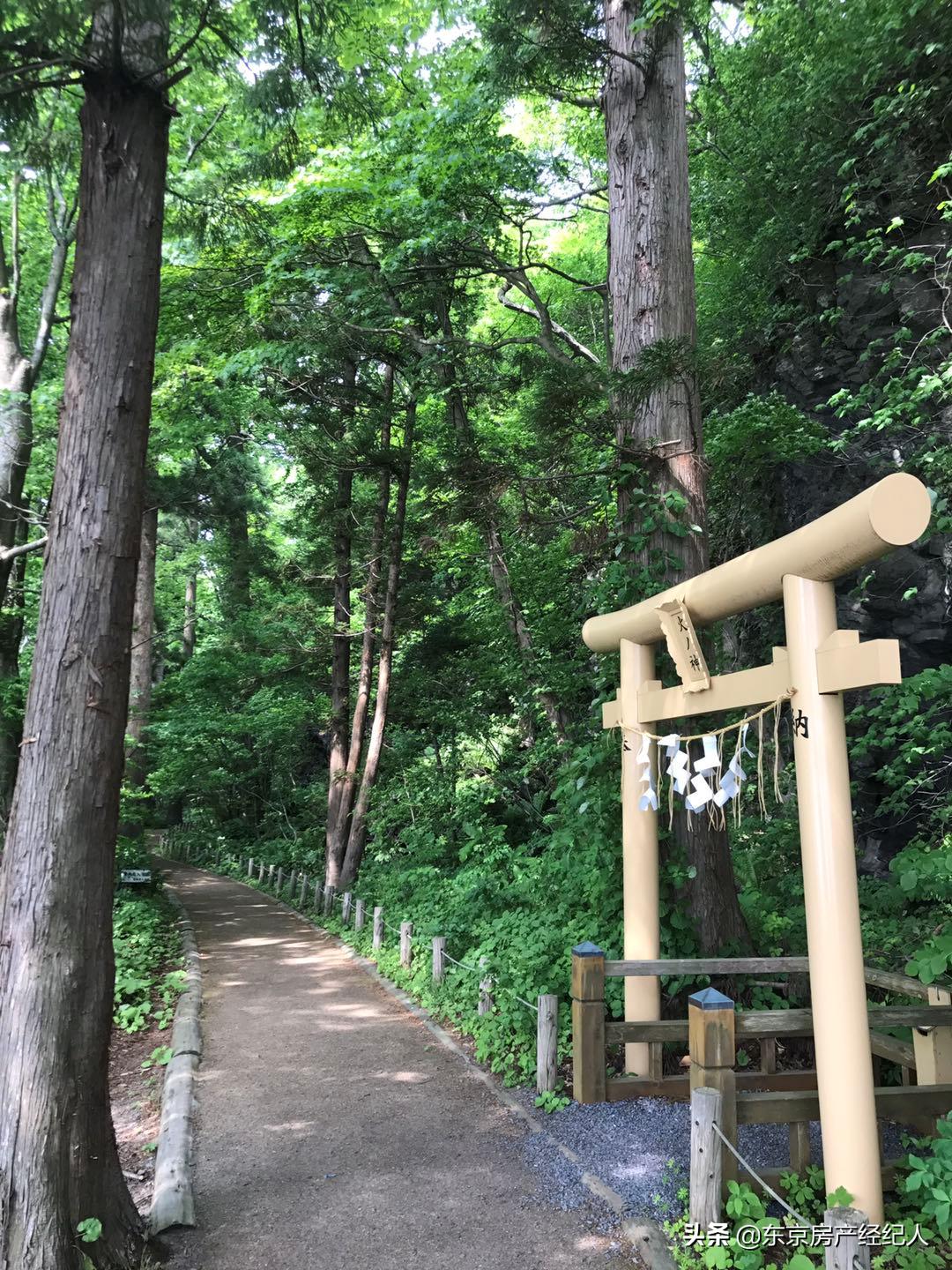 闈掓．涓ぎ瀛﹂櫌澶у,鏃ユ湰闈掓．涓ぎ瀛﹂櫌澶у