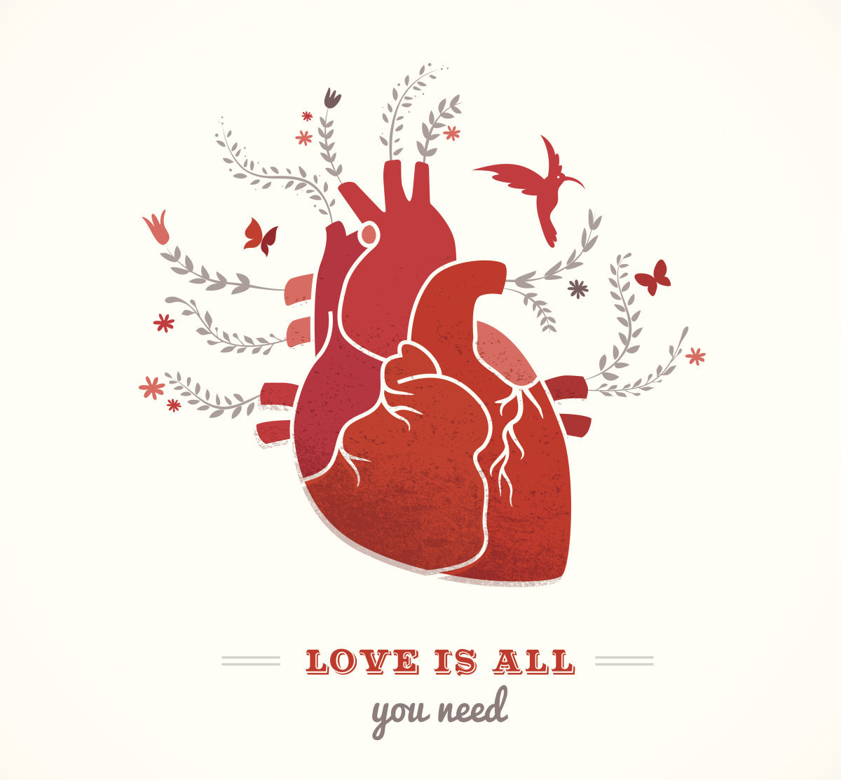 猫咪怎么避免肥厚型心肌病,肥厚型心肌病的猫咪怎么急救