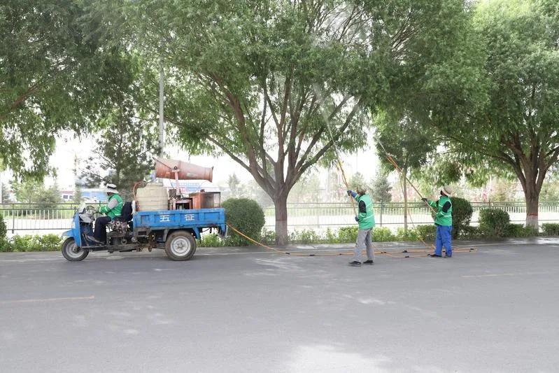 民勤全面开展光肩星天牛防治工作,开展天牛防治工作