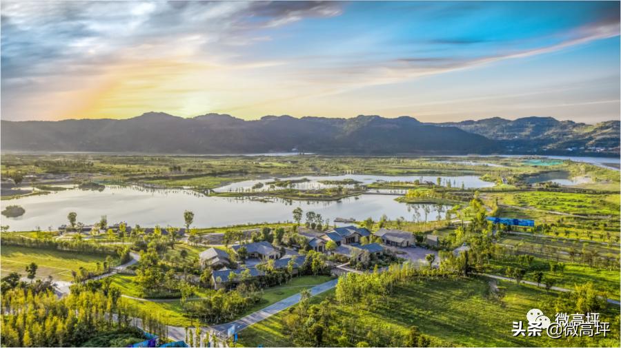 高坪区会展中心酒店 (国际会展中心高坪区)