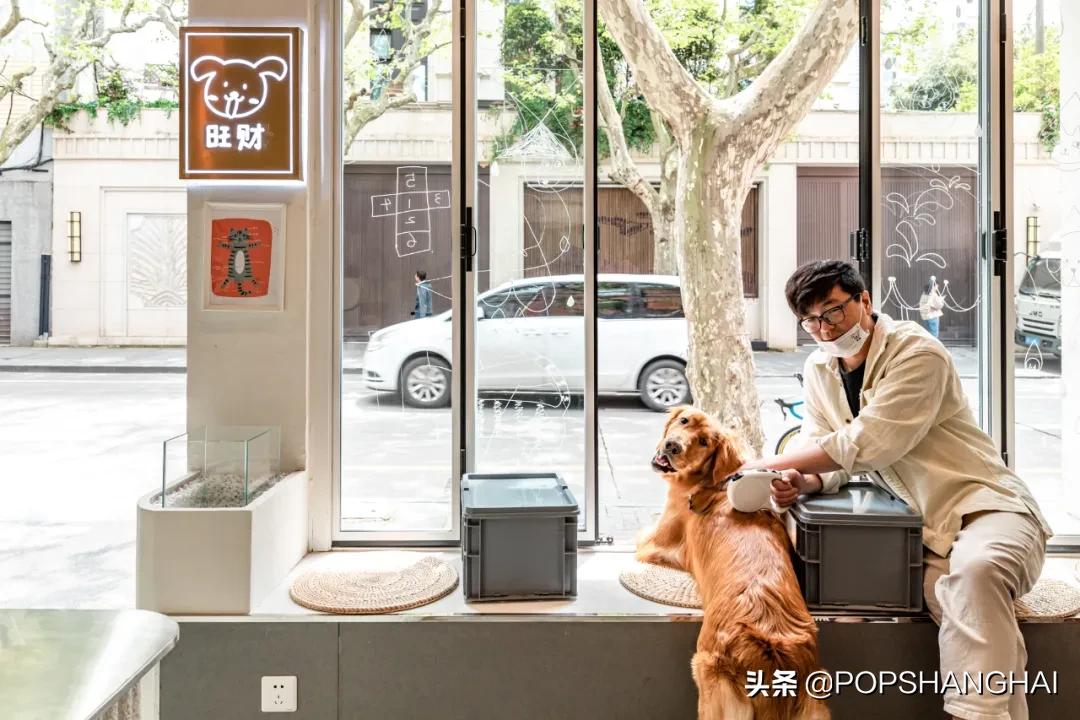 90后夫妻自己开咖啡馆,90后夫妻开咖啡馆