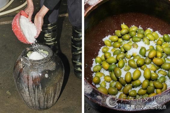 橄榄菜紫菜潮汕做法,潮州山哥橄榄菜做法