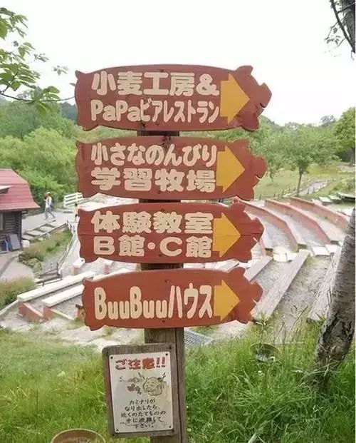 国外如何做好乡村振兴研究,国外乡村振兴案例