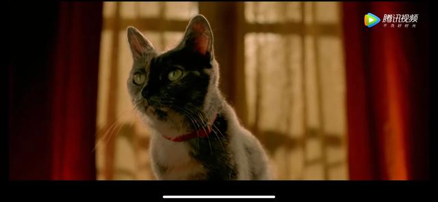 天使爱美丽励志语录,天使爱美丽经典文案