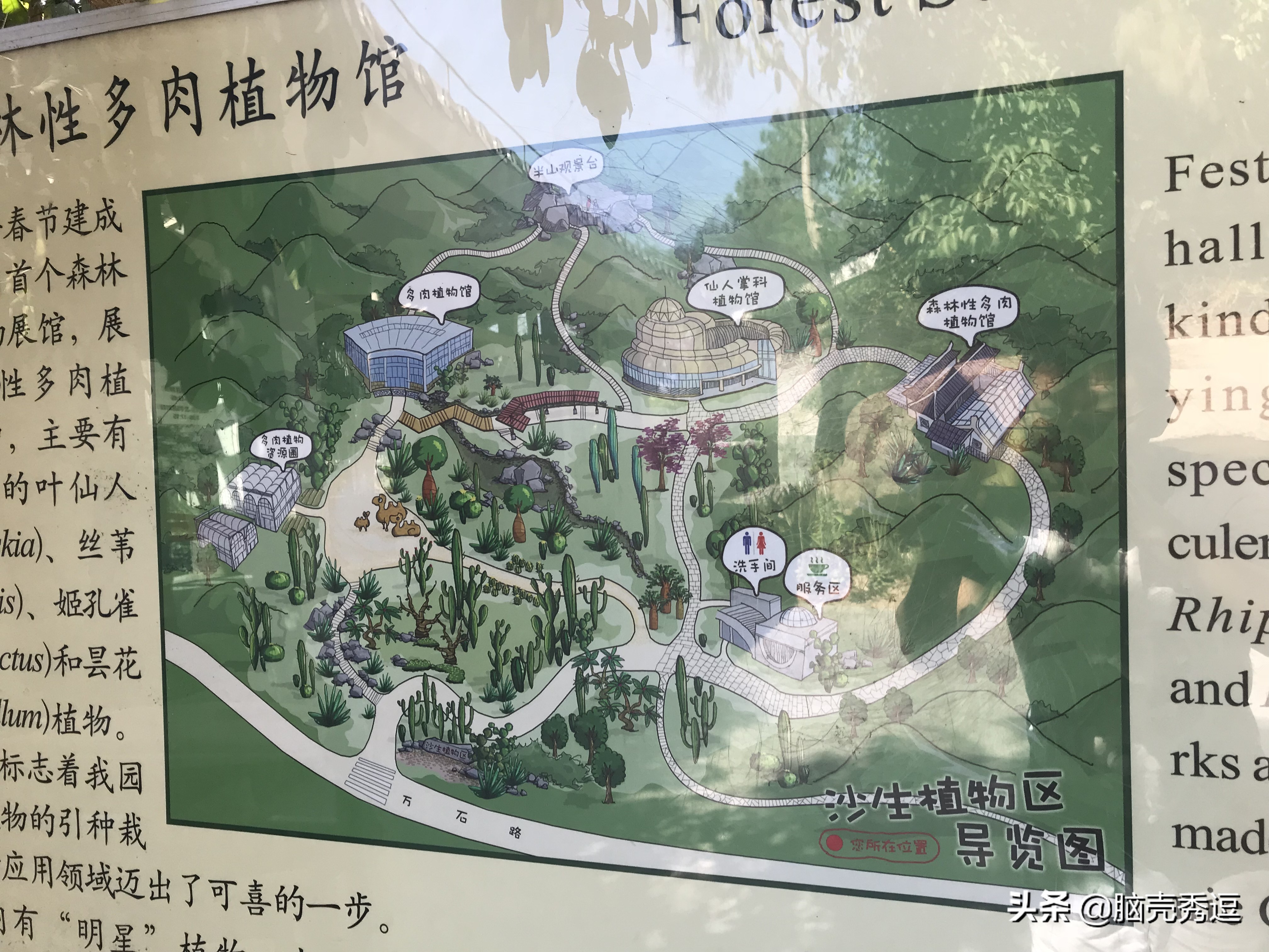 厦门四天自由行攻略最详细,厦门自由行攻略5天详细