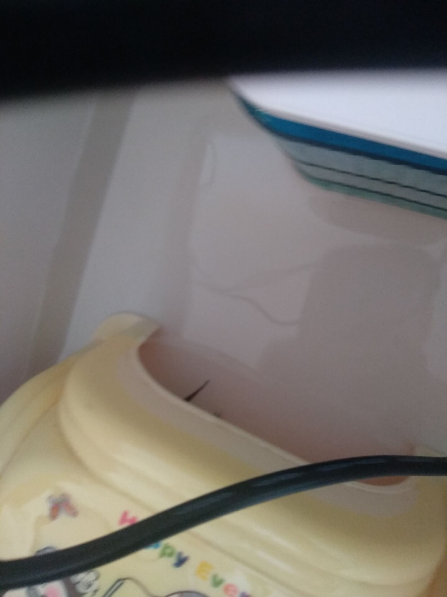 草龟刚到家应激腐皮怎么办,花龟到家静养腐皮