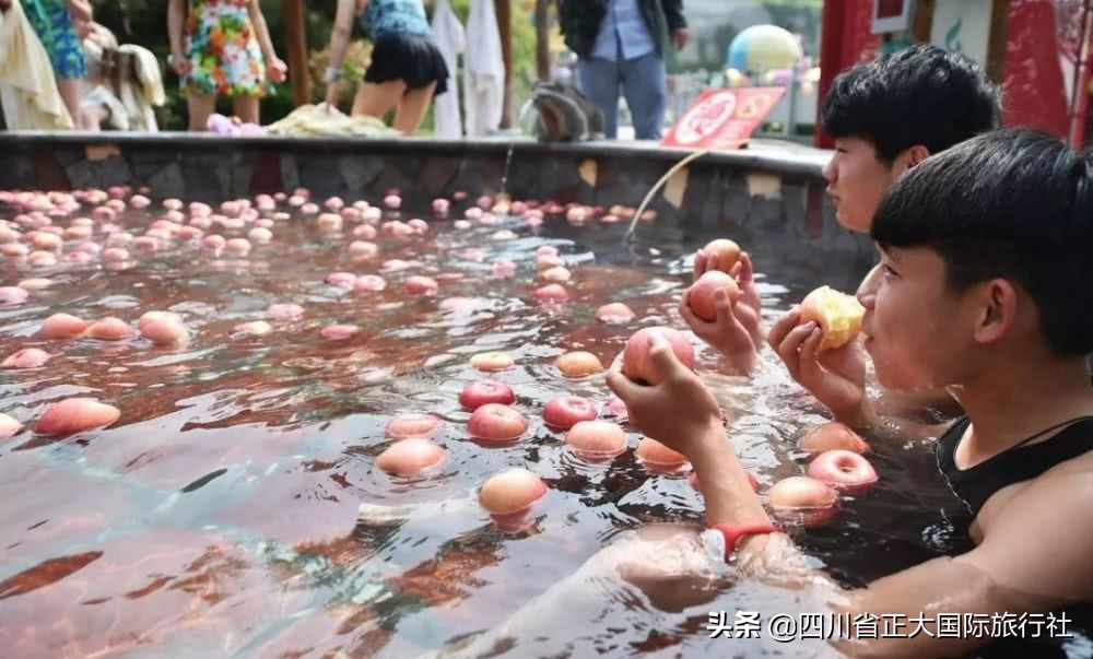 世界行为迷惑大赏,世界迷惑行为大赏解说