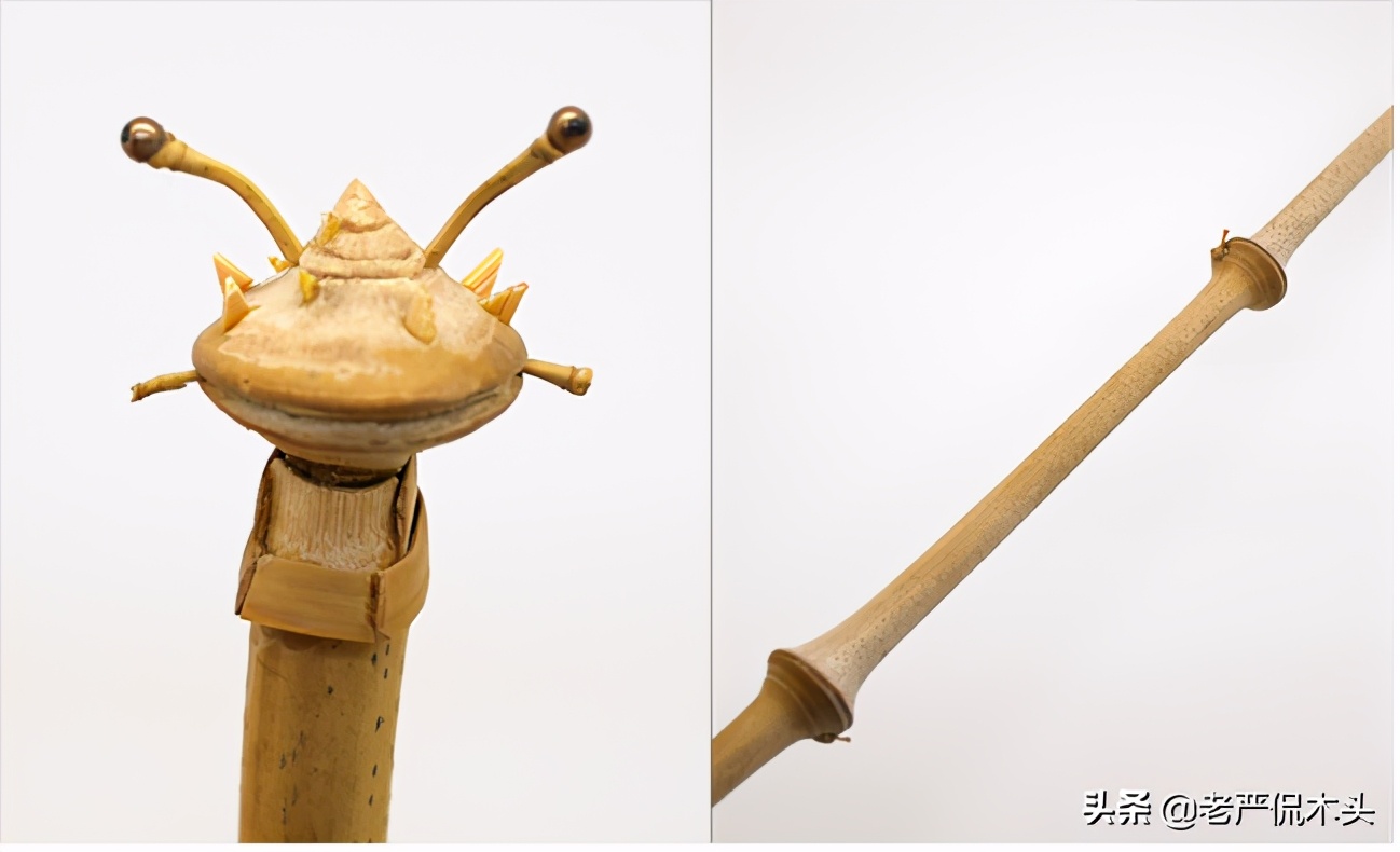 昆虫标本树脂竹节虫,昆虫标本制作竹节虫