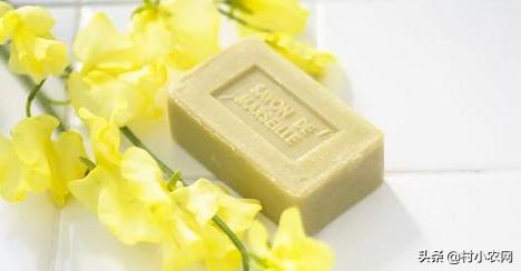 杨梅酸甜可口,但把杨梅汁弄到衣服上怎么办?这6种方法你用过吗?