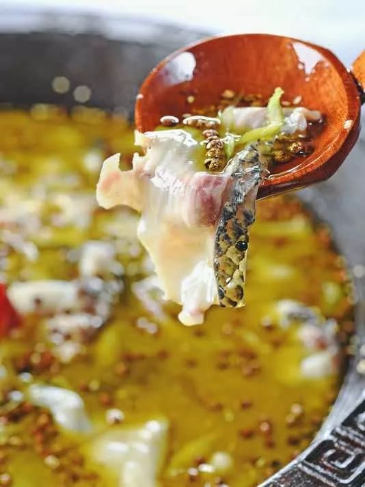 大宜兴没有好吃的鱼？这家独霸美食界的鱼无双！要不要挑战一下？