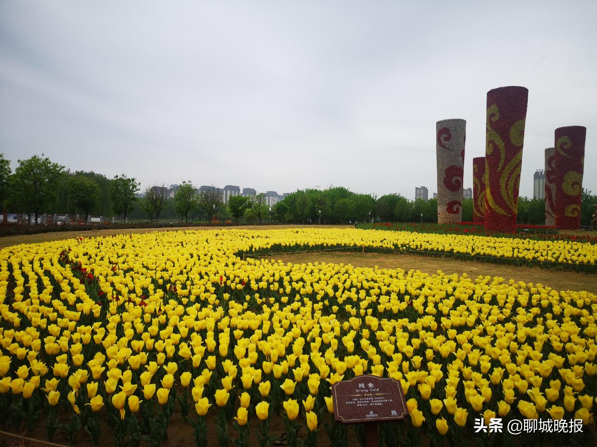 聊城宜居之城规划图,聊城城市绿化景点