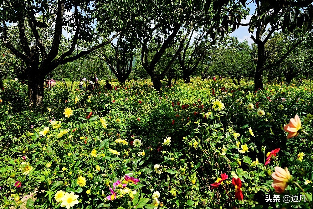 航拍一个村寨,航拍最美山谷风景
