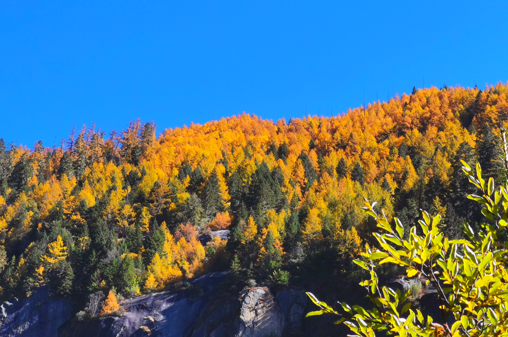 即使在路上走走，*藏西**风情也能让你流连忘返