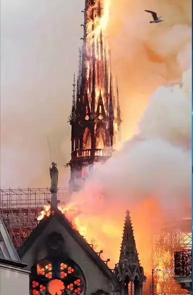 巴黎圣母院修复中国设计师,巴黎圣母院226个重建方案