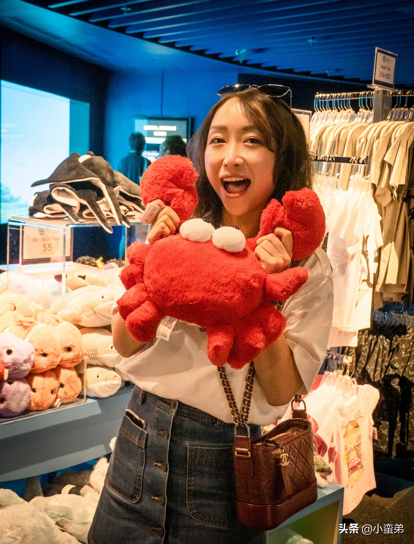 5年之许,小白逆袭重返新加坡