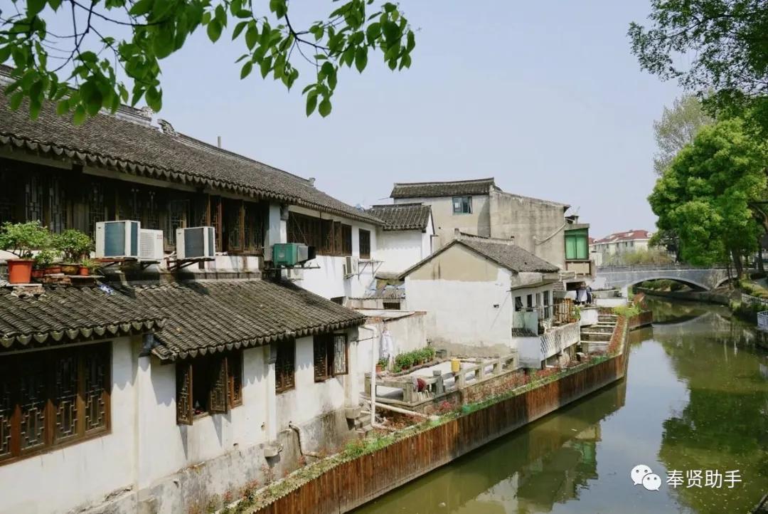 奉贤区南桥镇旅游景点,上海奉贤景点推荐一日游最佳路线