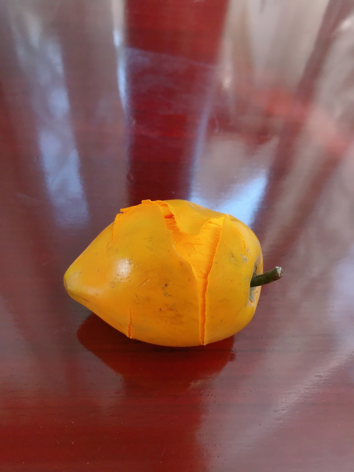 三亚躲台风,三亚避寒15天游玩攻略