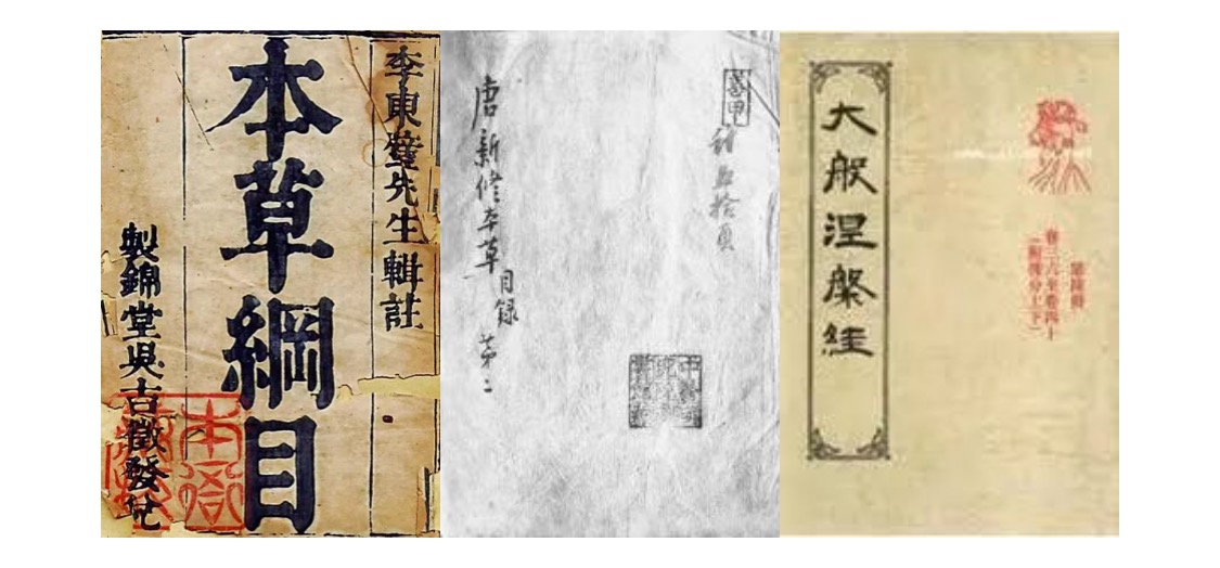 醍醐灌顶的醍醐是油还是水,醍醐灌顶的醍醐什么意思梦幻西游