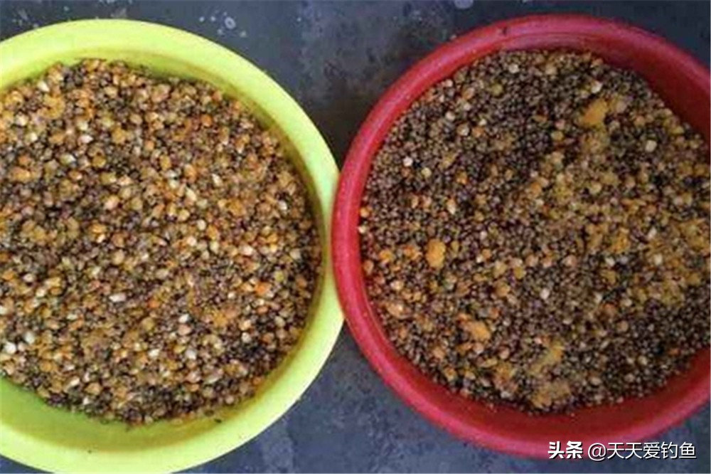 怎么防止小鱼闹窝最有效,小鱼闹窝还钓不到