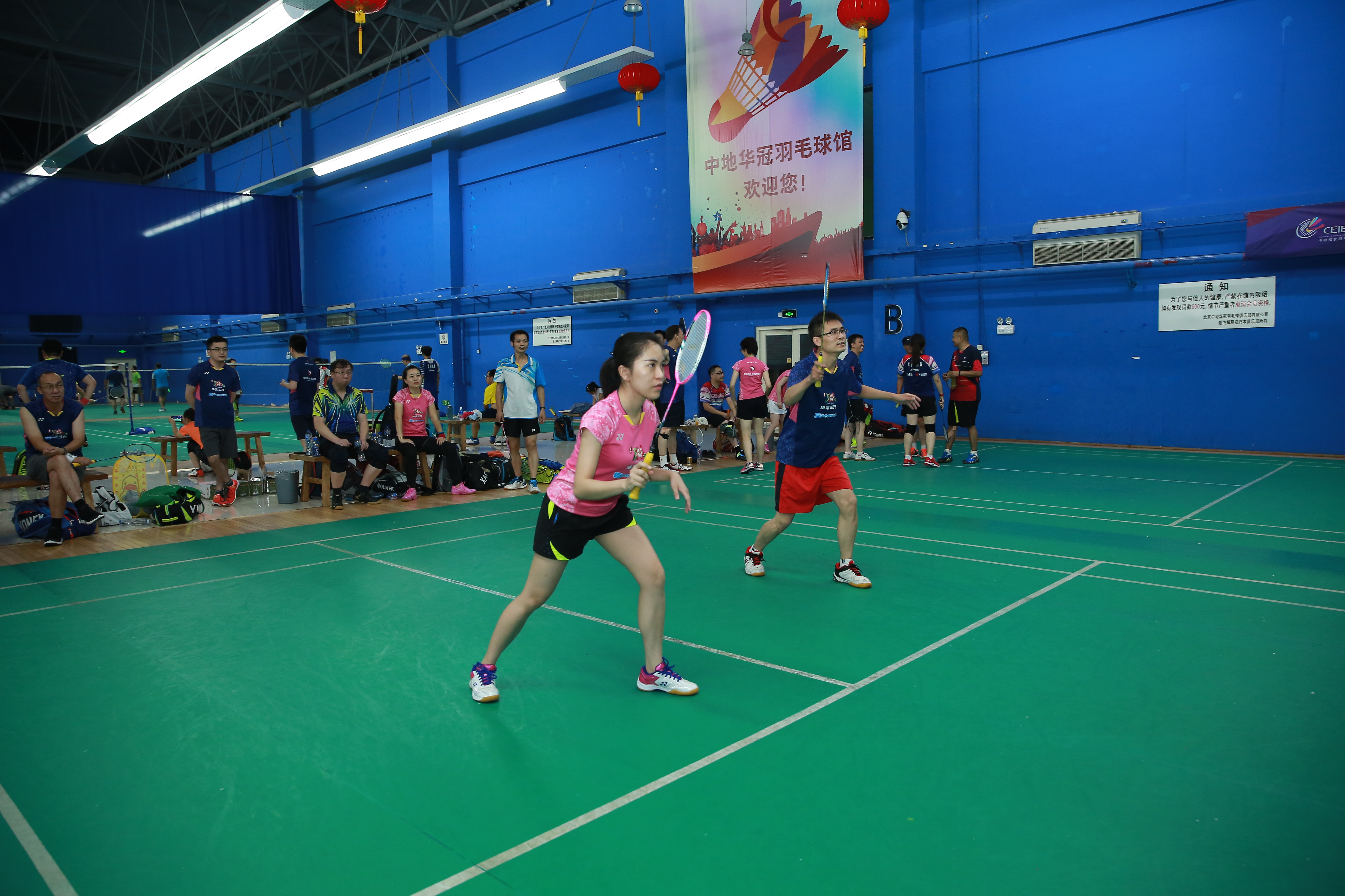 syntronic招聘,凉风有信by朝小诚