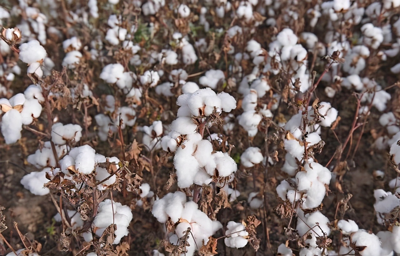 鍙f槸蹇冮潪鎯婂憜鍏ㄥ満,鍙f槸蹇冮潪闇囨儕鍏ㄥ満