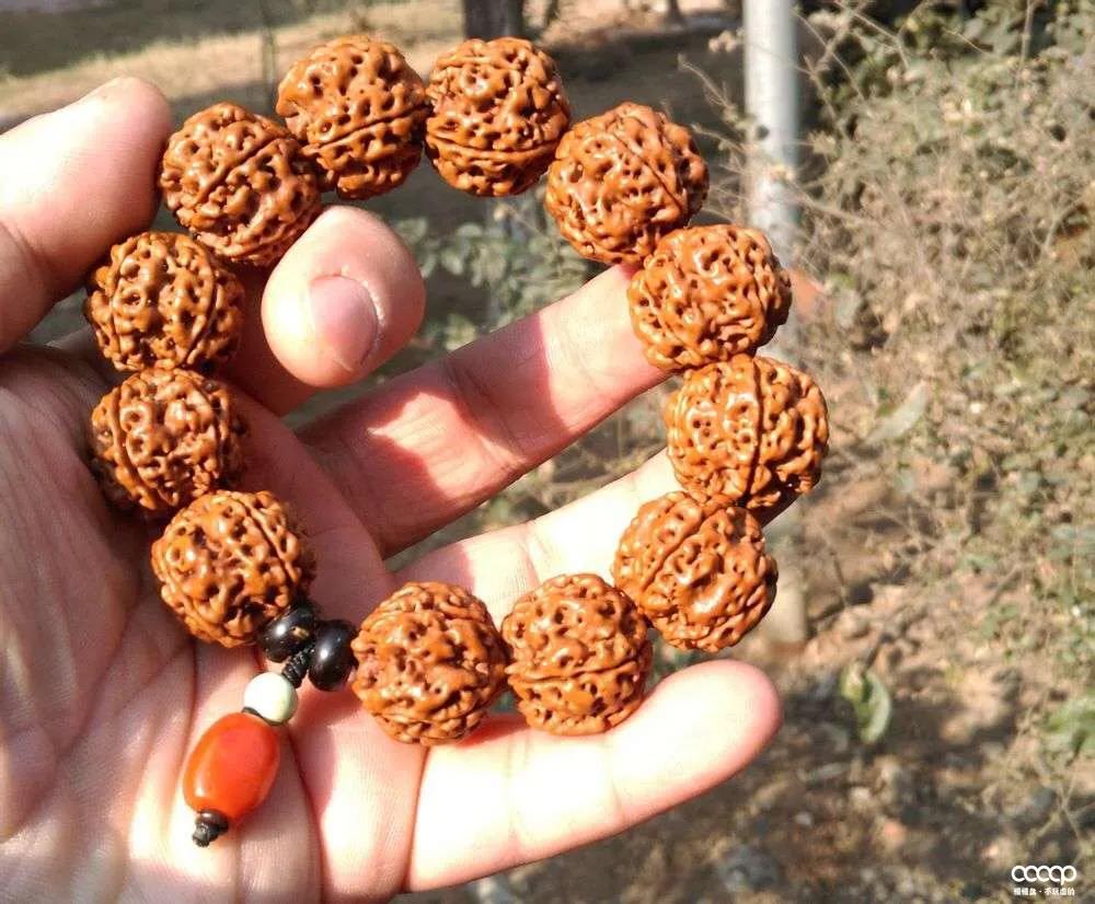 金刚菩提攻略,金刚菩提毕业级手盘