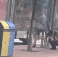 变态男地铁内*拍偷**女生裙底，警方：拘留7天，罚款500元！