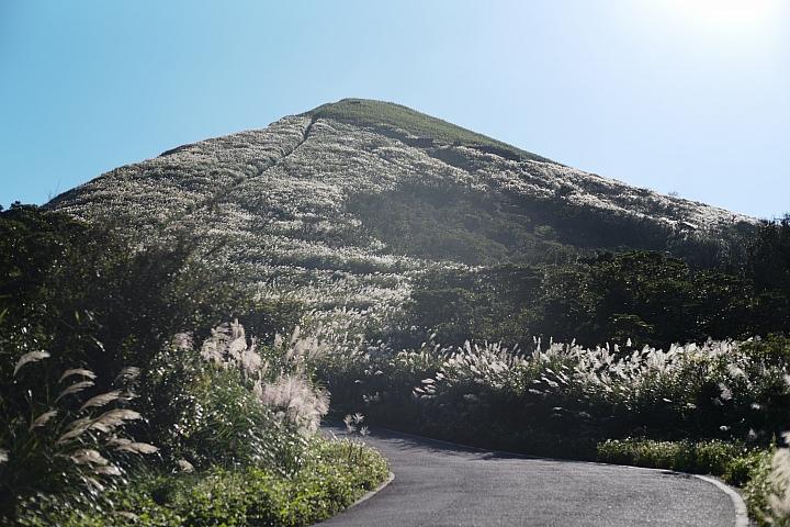 反璞归真2.0,反璞归真005