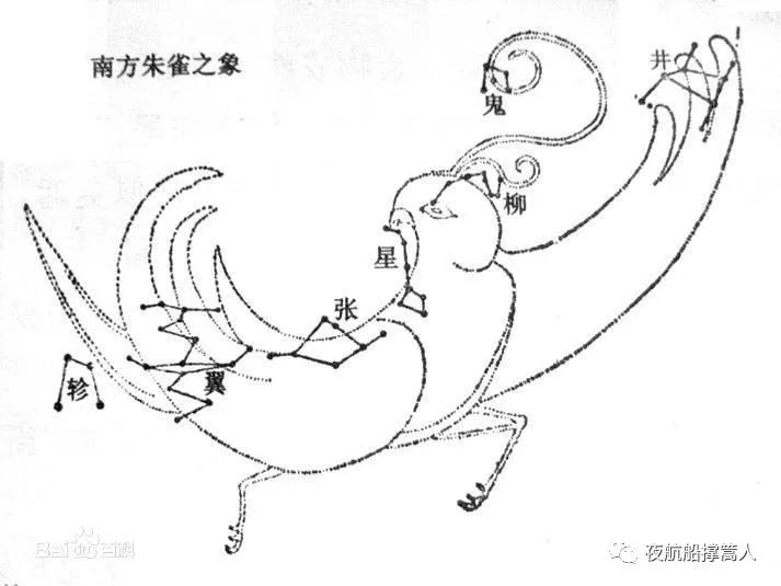 会七十二变的动物,会七十二变的八戒