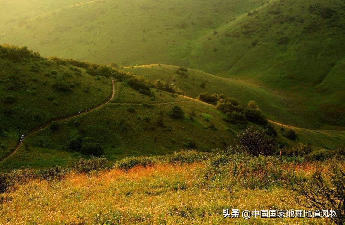 安康小江南在哪里,陕西安康小江南是哪个市