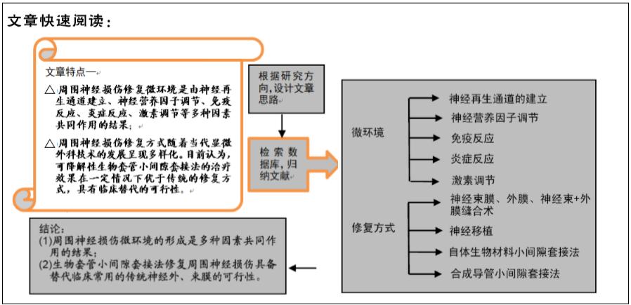 周围神经系统损伤,周围神经损伤的研究现状