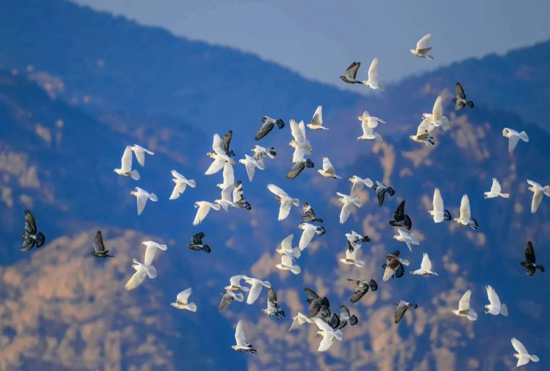 山东东营位置,这就是东营