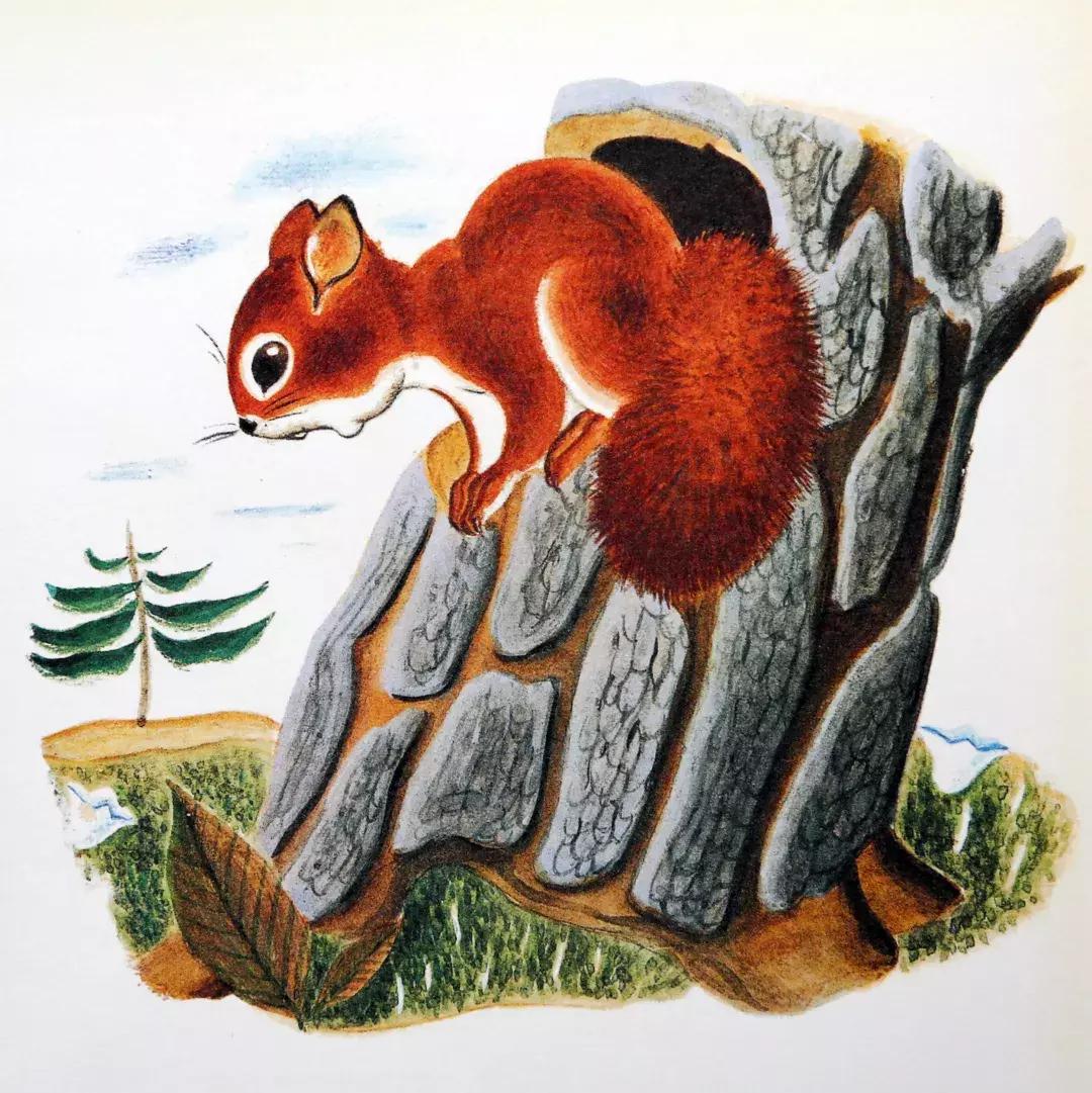 为什么要看绘本羞答答的小猫,幼儿绘本孤独的小猫推荐理由