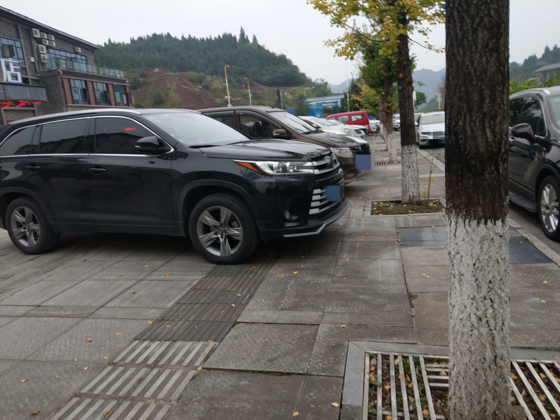 品宴大酒店蓬安地址,蓬安品宴大酒店