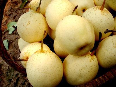 嗓子干燥感觉很缺水怎么快速恢复,冬天嗓子沙哑怎样调理