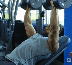 古天乐雌化,古天乐快速发达的方法