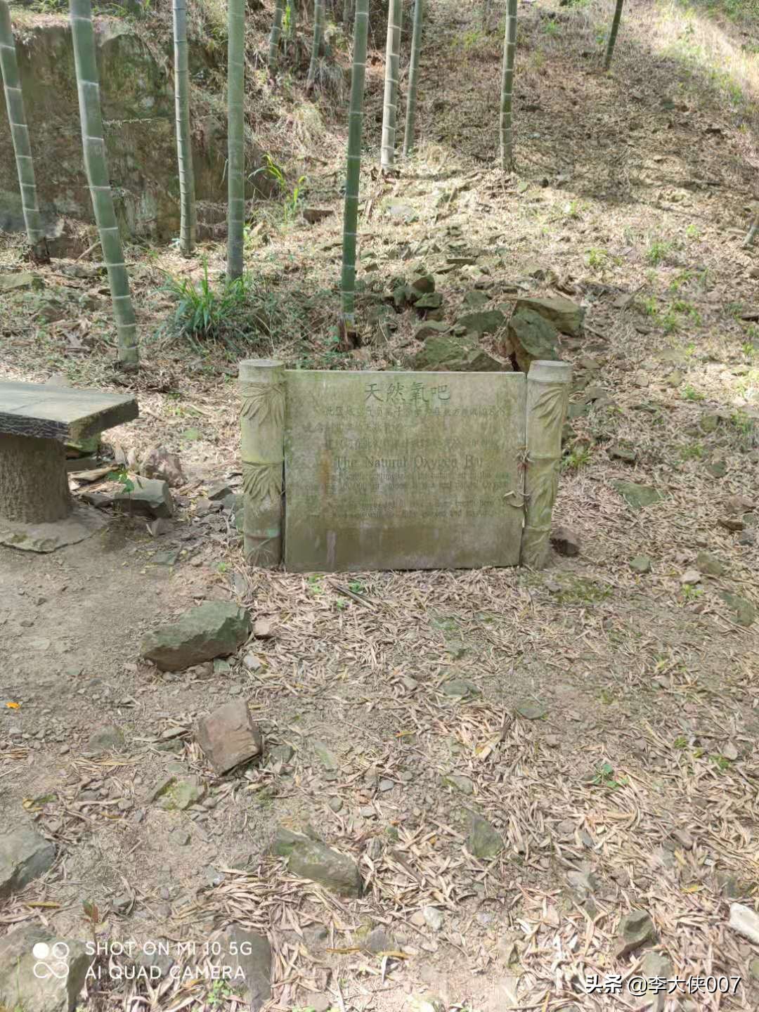 宜兴竹海游记,宜兴竹海攻略一日游自驾游