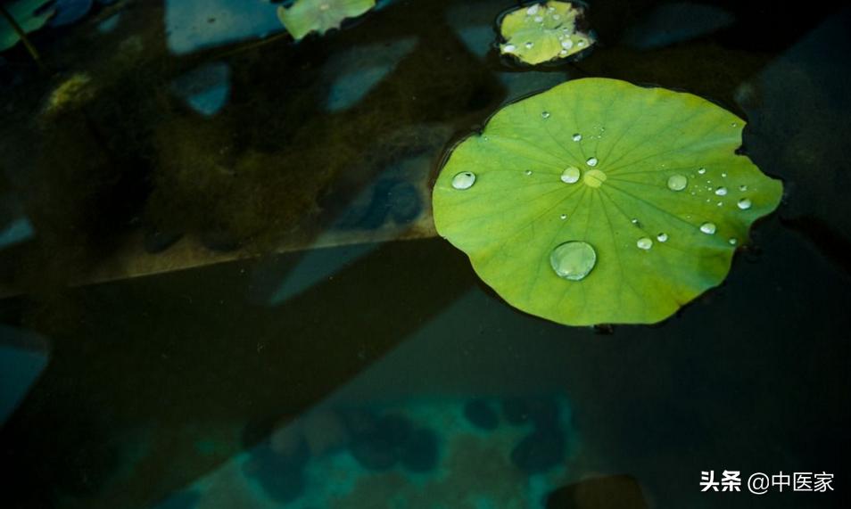 医易同源关系,医易同源是什么