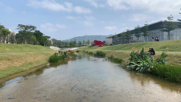 文化之源涵养创新沃土!光明这样让艺术之光照进科学之城