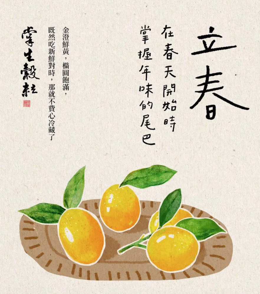 台湾掌生谷粒：24节气海报设计