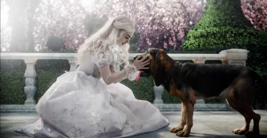 爱丽丝梦游仙境特效影评,爱丽丝梦游仙境微影评