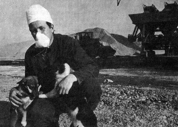 豆瓣9.8分以上的电影惊悚,豆瓣9.7的神剧